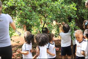 Comendo Acerola na Horta 