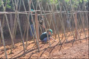 PROJETO JOVEM APRENDIZ EM PARCERIA COM O SINDICATO RURAL