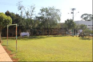 PROJETO JOVEM APRENDIZ EM PARCERIA COM O SINDICATO RURAL