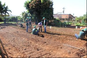 PROJETO JOVEM APRENDIZ EM PARCERIA COM O SINDICATO RURAL